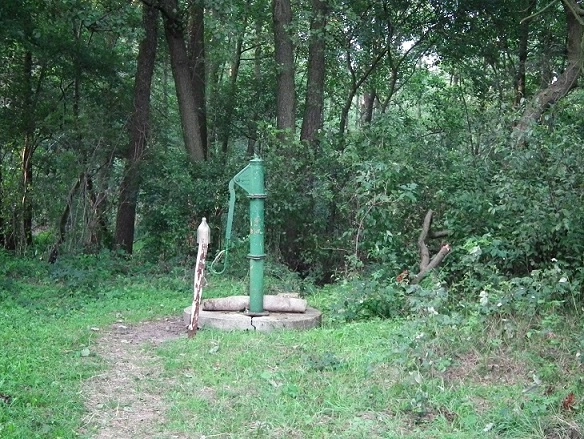 Miejscówka 301 - Grójec Wielki - zdjęcie 3