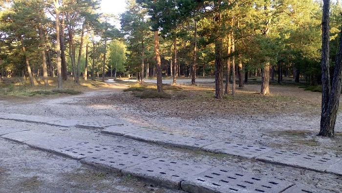 Miejscówka 304 - Rowy III - zdjęcie 5