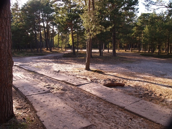 Miejscówka 304 - Rowy III - zdjęcie 4