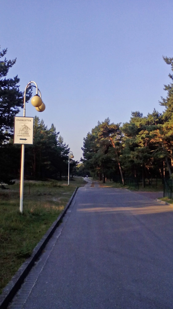 Miejscówka 304 - Rowy III - zdjęcie 2