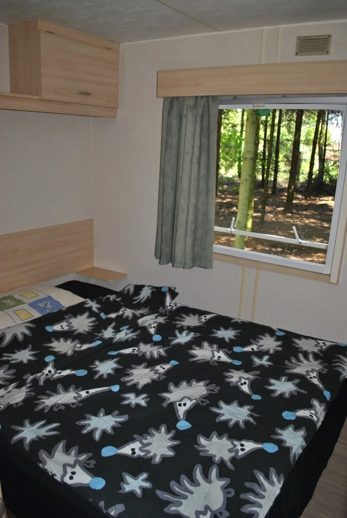 Galeria - zdjęcie 11