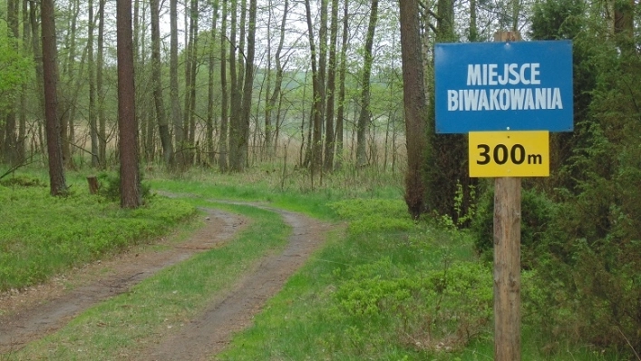 Miejscówka 309 - Młynek - zdjęcie 6