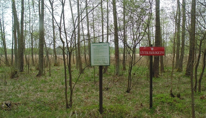 Miejscówka 309 - Młynek - zdjęcie 5