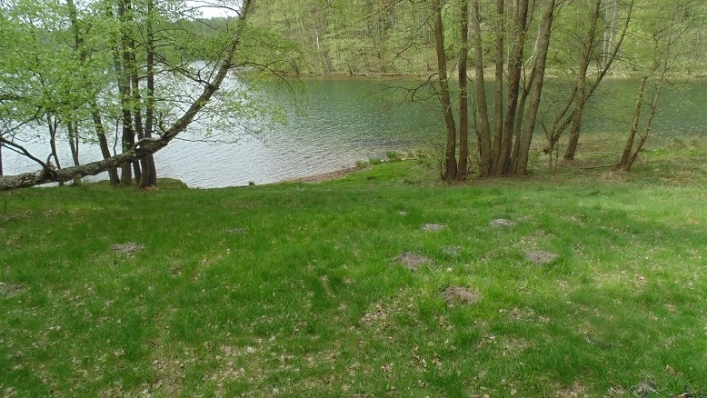 Miejscówka 310 - nad jeziorkiem w lesie - zdjęcie 5