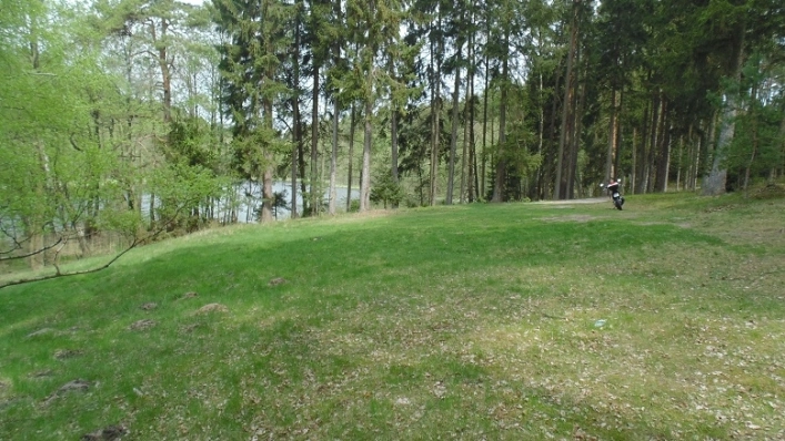 Miejscówka 310 - nad jeziorkiem w lesie - zdjęcie 4