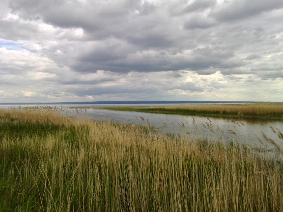 Miejscówka 323 - Przyłap - zdjęcie 6