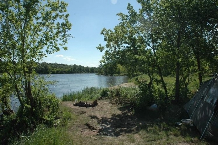 Miejscówka 329 - Różan - zdjęcie 6