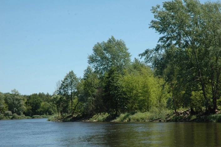 Miejscówka 329 - Różan - zdjęcie 5