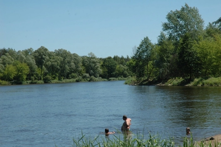 Miejscówka 329 - Różan - zdjęcie 4