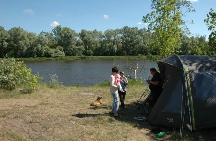 Miejscówka 329 - Różan - zdjęcie 2