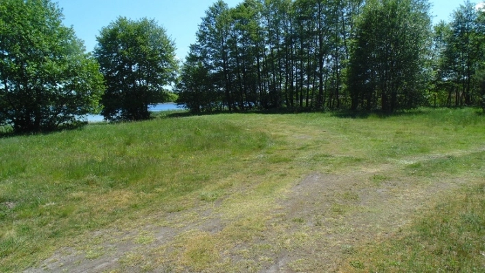 Miejscówka 330 - Drężno - zdjęcie 8