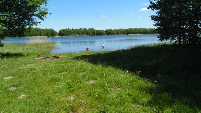 Miejscówka 330 - Drężno - zdjęcie 7