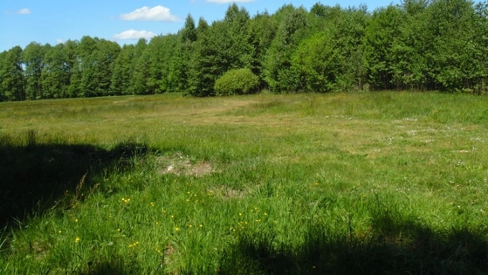 Miejscówka 330 - Drężno - zdjęcie 5