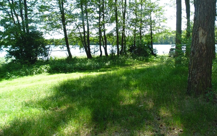 Miejscówka 330 - Drężno - zdjęcie 3