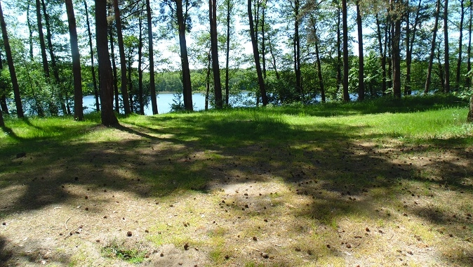 Miejscówka 330 - Drężno - zdjęcie 2