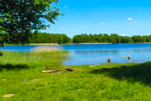 Miejscówka 330 - Drężno - zdjęcie 0