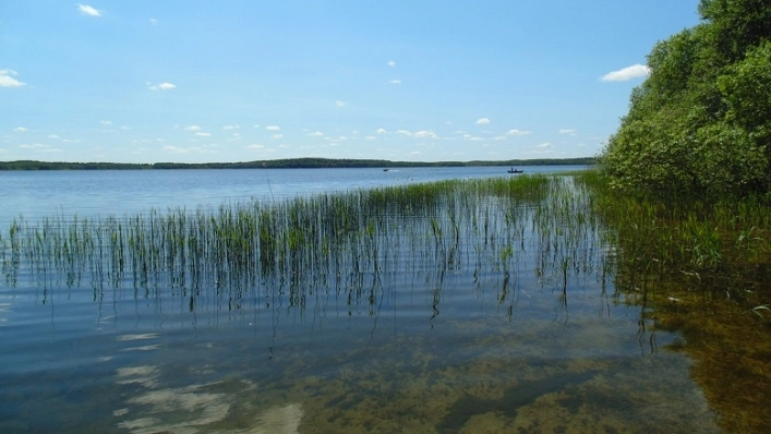 Miejscówka 331 - jezioro Wierzchowo - zdjęcie 4