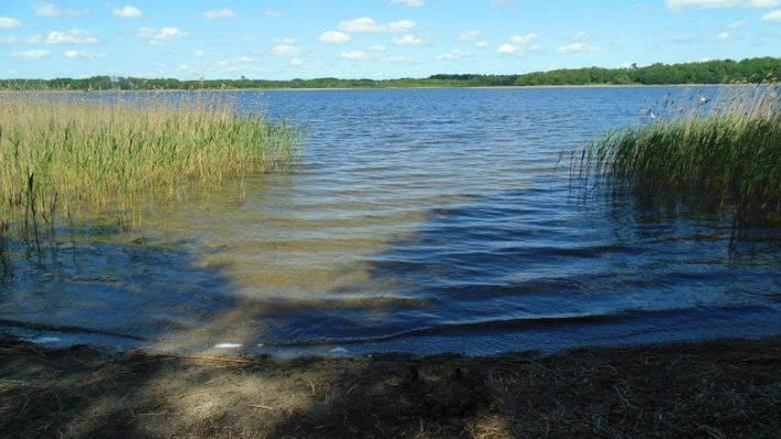 Miejscówka 333 - Wierzchowo - zdjęcie 5