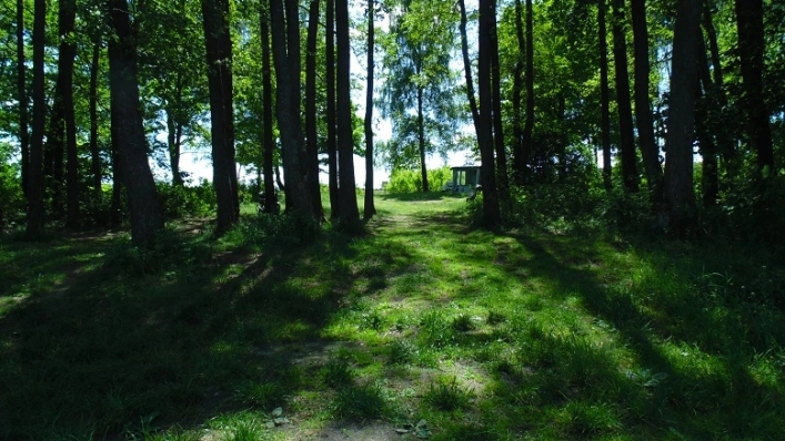 Miejscówka 333 - Wierzchowo - zdjęcie 4