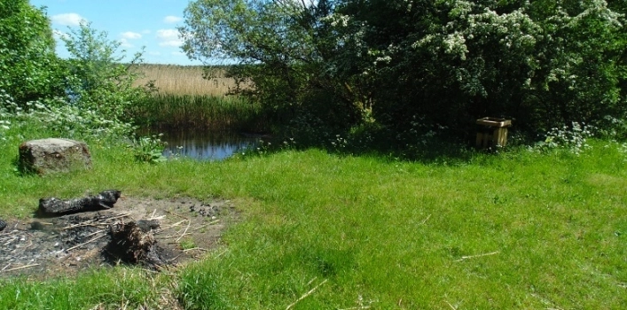 Miejscówka 334 - Stare Wierzchowo - zdjęcie 4