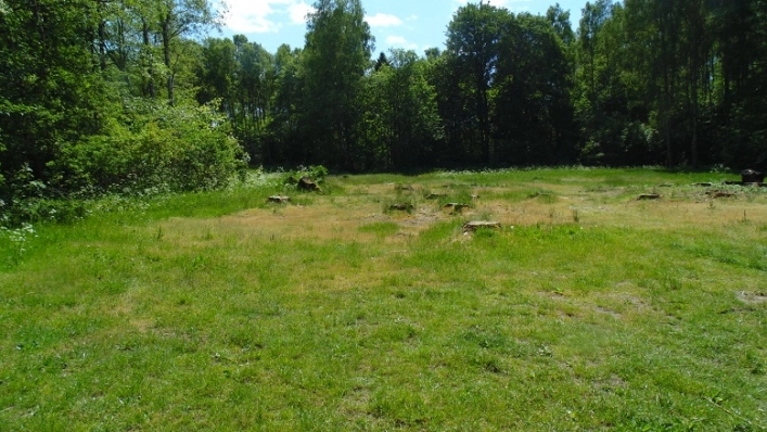 Miejscówka 334 - Stare Wierzchowo - zdjęcie 3