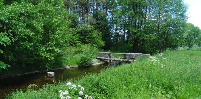 Miejscówka 334 - Stare Wierzchowo - zdjęcie 2