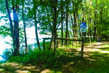 Miejscówka 336 - jezioro Dołgie - zdjęcie 0