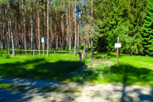 Miejscówka 337 - Gwda Wielka las - zdjęcie 0