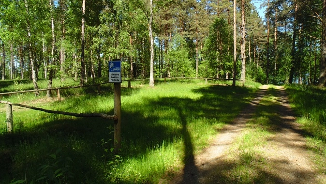 Miejscówka 338 - Gwda Wielka + polana - zdjęcie 2