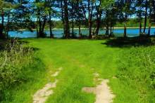 Miejscówka 338 - Gwda Wielka + polana - zdjęcie 0