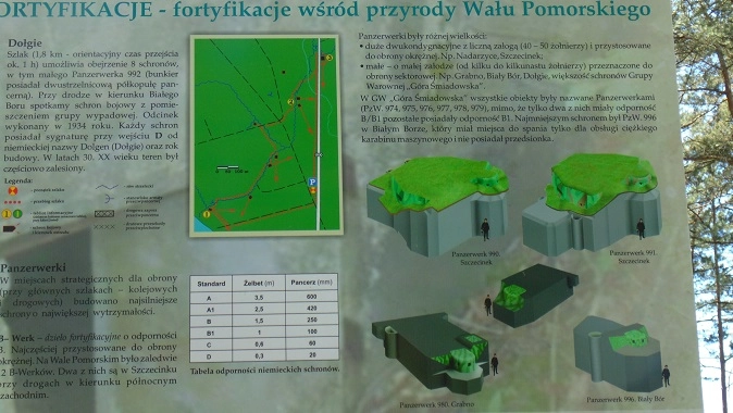 Miejscówka 339 - jezioro Dołgie - zdjęcie 3