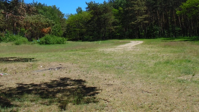 Miejscówka 339 - jezioro Dołgie - zdjęcie 2