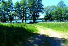 Miejscówka 340 - Domaradz - koniec drogi - zdjęcie 0