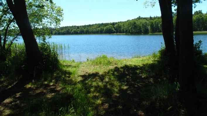 Miejscówka 342 - jezioro Dołgie - zdjęcie 4