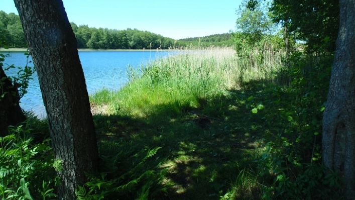 Miejscówka 342 - jezioro Dołgie - zdjęcie 3