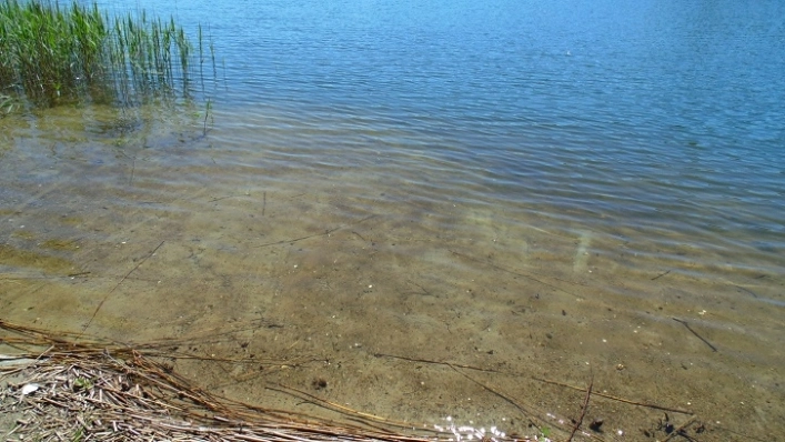 Miejscówka 342 - jezioro Dołgie - zdjęcie 2