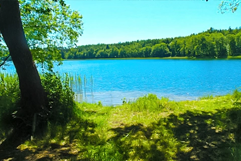 Miejscówka 342 - jezioro Dołgie