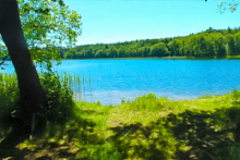 Miejscówka 342 - jezioro Dołgie - zdjęcie 0