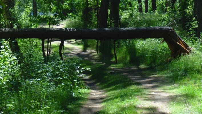 Miejscówka 343 - Biwak - zdjęcie 2