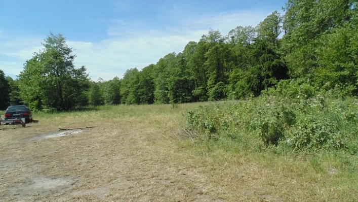 Miejscówka 347 - Gałowo - zdjęcie 4