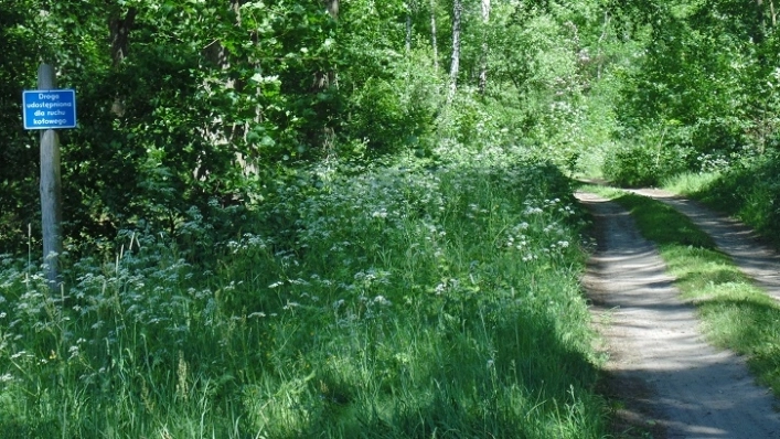 Miejscówka 347 - Gałowo - zdjęcie 2