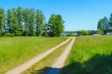 Miejscówka 347 - Gałowo - zdjęcie 0