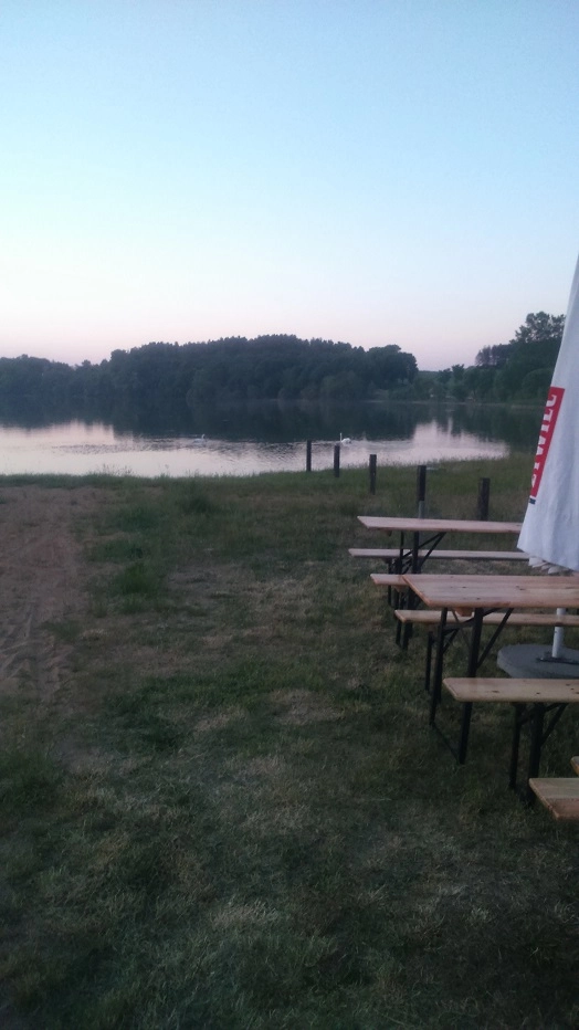 Miejscówka 350 - Szkotowo - zdjęcie 5