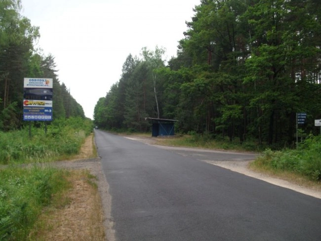 Miejscówka 352 - jezioro Turawskie - zdjęcie 4