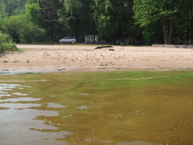 Miejscówka 352 - jezioro Turawskie - zdjęcie 3