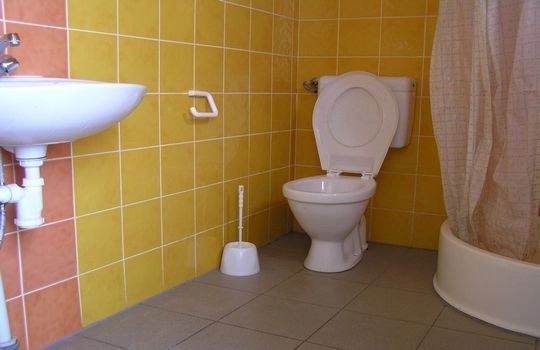 Galeria - zdjęcie 2