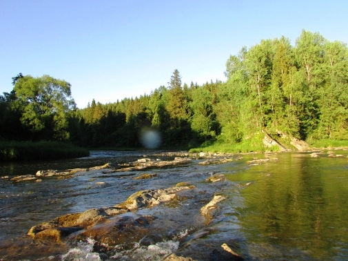 Miejscówka 359 - Stuposiany - zdjęcie 3