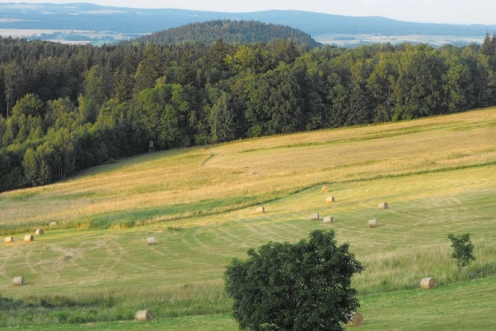 Miejscówka 367 - Łysa Góra - zdjęcie 6