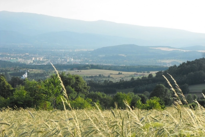 Miejscówka 367 - Łysa Góra - zdjęcie 2