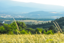 Miejscówka 367 - Łysa Góra - zdjęcie 0